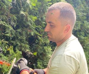 Стрижка туй у Львові Формування крони туй Львів Санітарна обрізка туй Львів