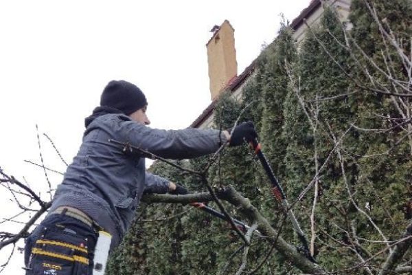 photo_ааа2025-01-08_19-24-02